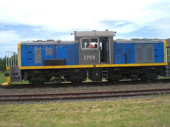 DSC2759 at Muriwai